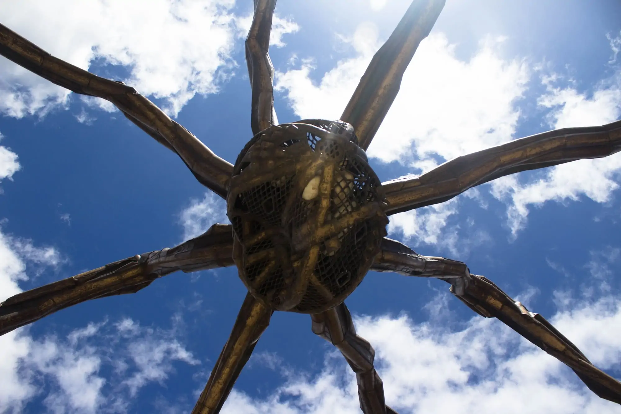 Guggenheim Spider